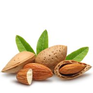 Our Bodybazaar skincare Soap ingredient Almond