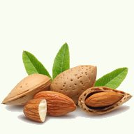 Our Bodybazaar skincare Soap ingredient Almond