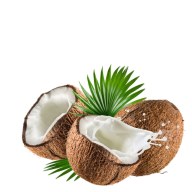 Our Bodybazaar skincare Soap ingredient Coconut